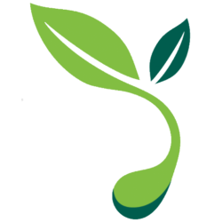 Seedling Growth